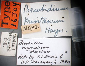 Media type: image;   Entomology 16304 Aspect: labels